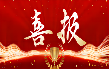 喜報! 遠(yuǎn)東控股集團(tuán)連續(xù)17年上榜中國民營企業(yè)500強